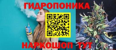 шишки Кингисепп