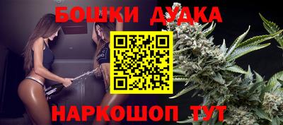 шишки Кингисепп