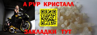 шишки Кингисепп
