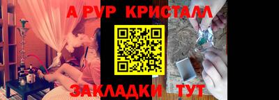 шишки Кингисепп