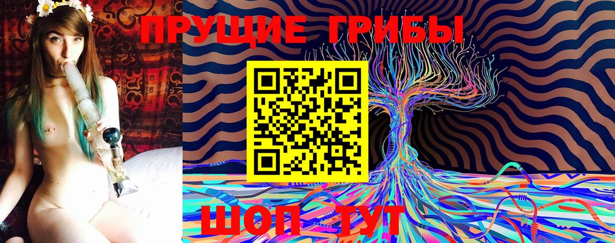 Галлюциногенные грибы прущие грибы Кузнецк